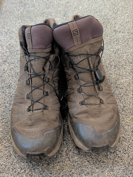 Salomon Forces Speed Assault M14